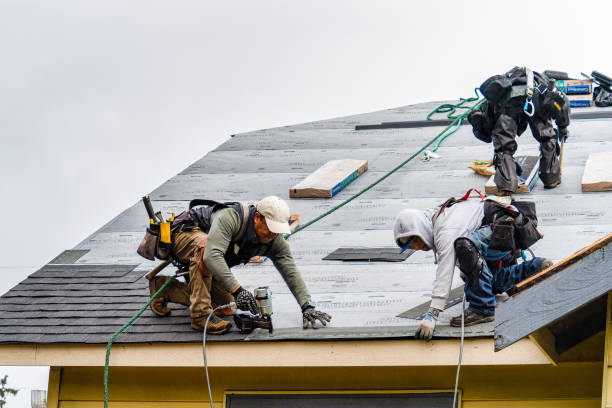 Professional Storm Damage Roof Repair technician working in Raymond, IL